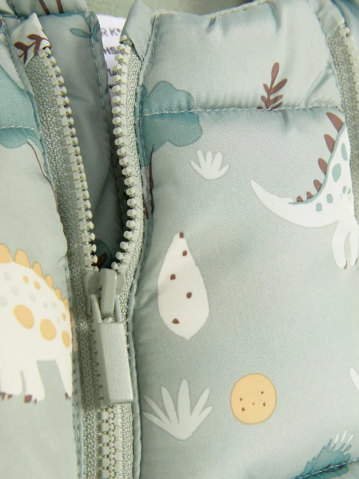 Dinosaur Print Stroller Suit