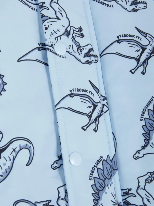 Dinosaur Rain Jacket