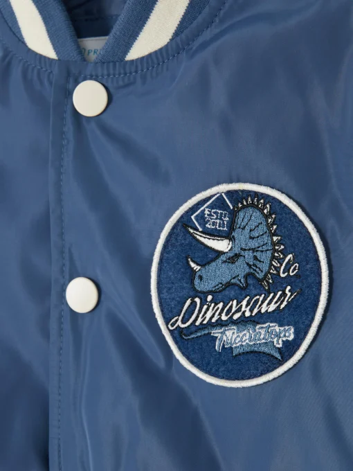 Dinosaur Varsity Jacket
