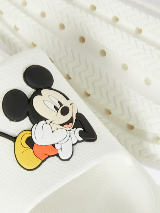 Disney’s Mickey And Minnie Mouse Molded Pool Slides
