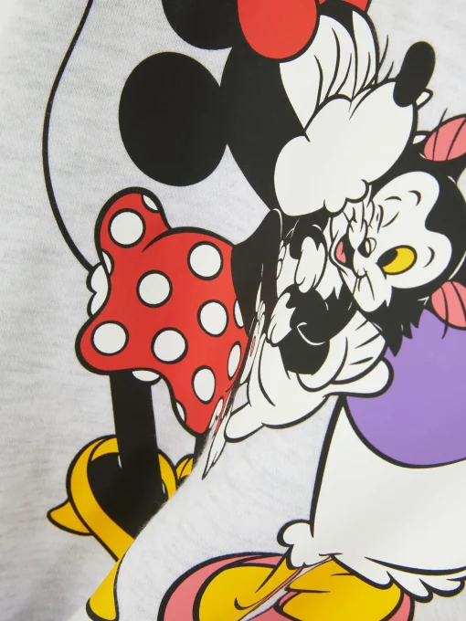 Disney's Minnie Mouse And Friends Hoodie