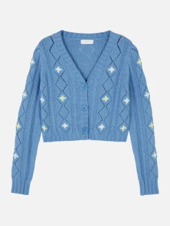 Embroidered V-Neck Cardigan