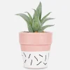 Faux Succulent In Colorful Pot