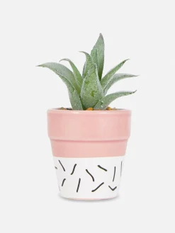 Faux Succulent In Colorful Pot