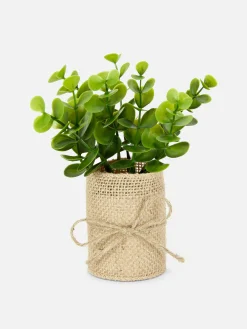 Faux Succulent In Jute Pot