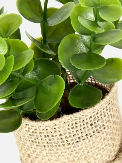 Faux Succulent In Jute Pot