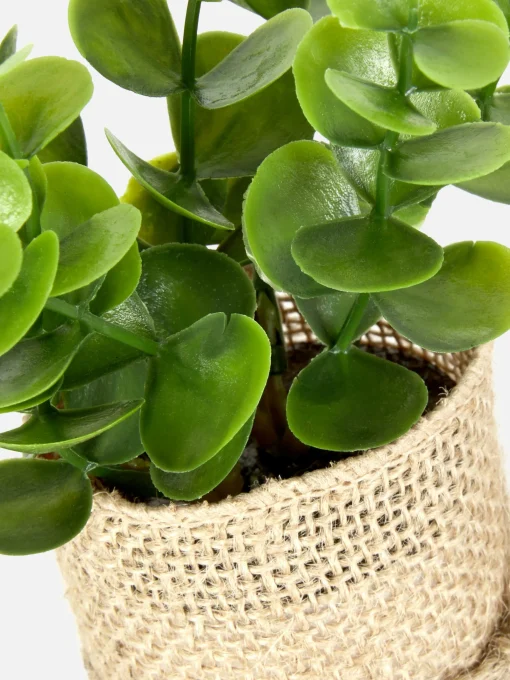 Faux Succulent In Jute Pot