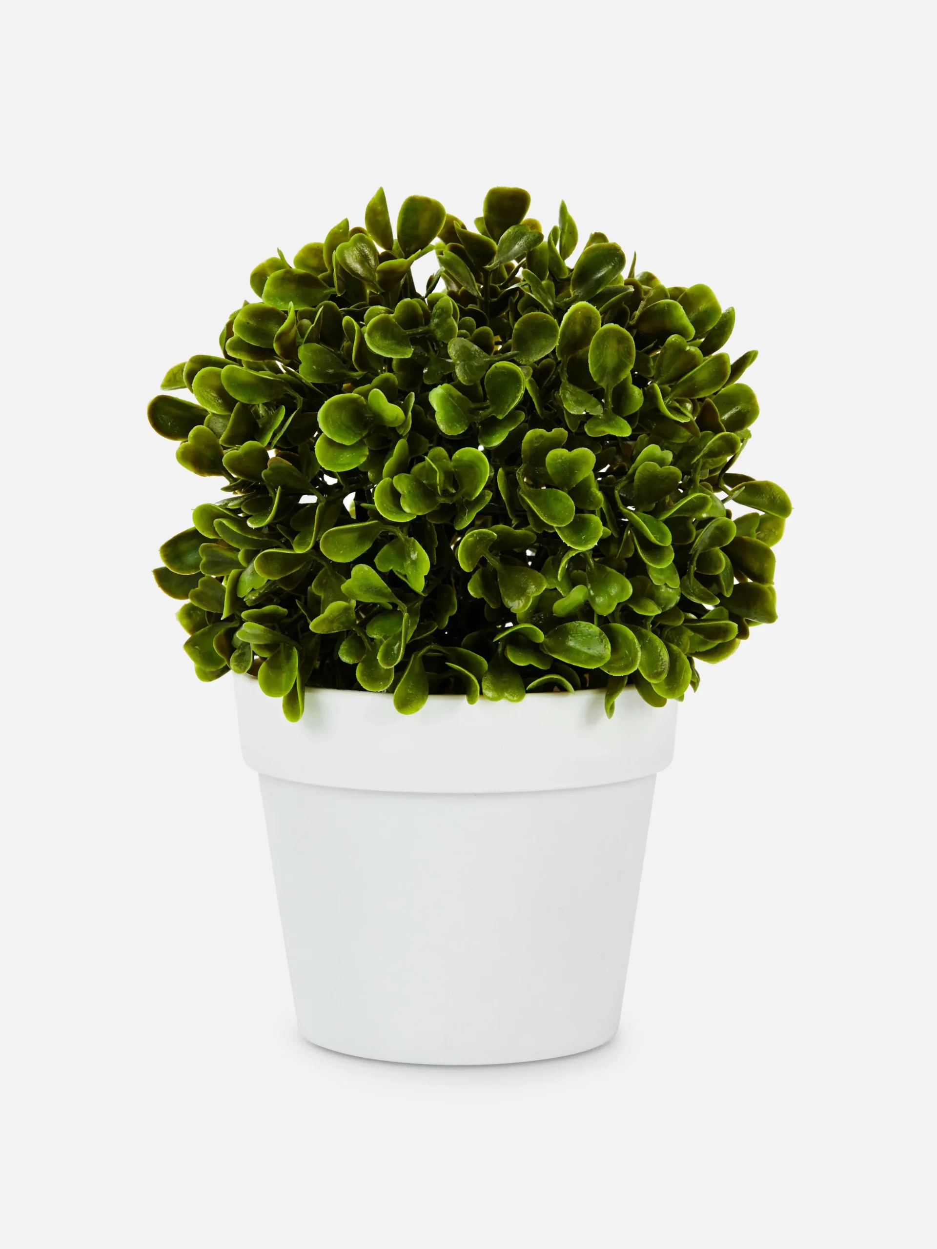 Faux Succulent In Pod