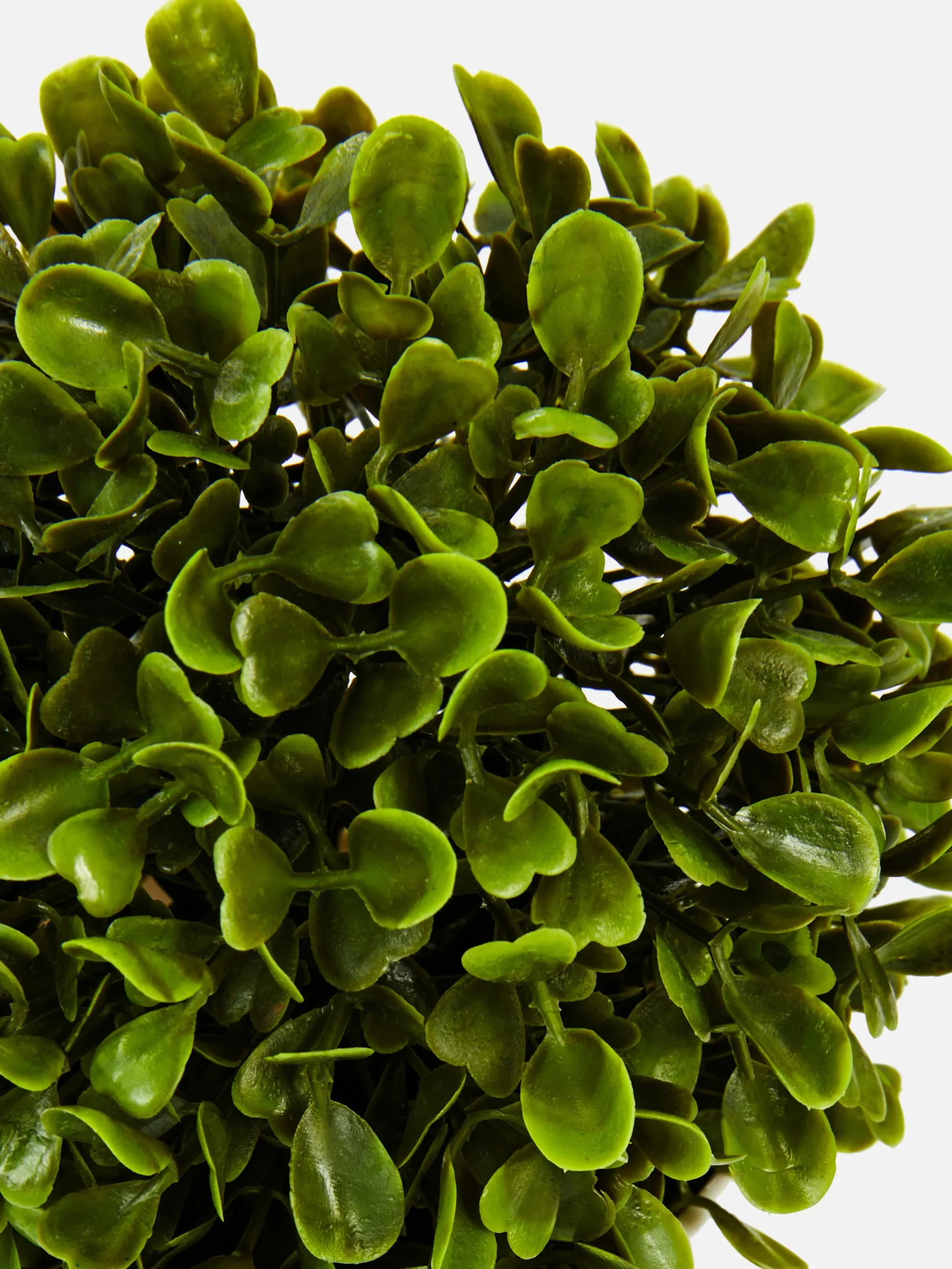 Faux Succulent In Pod