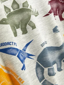 Graphic Short Sleeve T-shirt