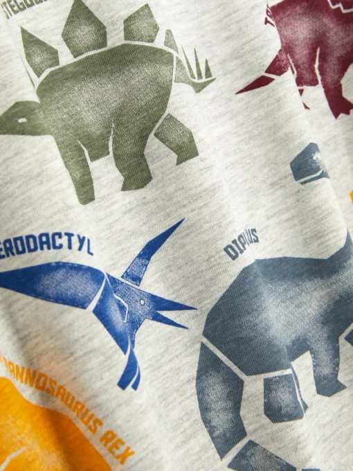 Graphic Short Sleeve T-shirt