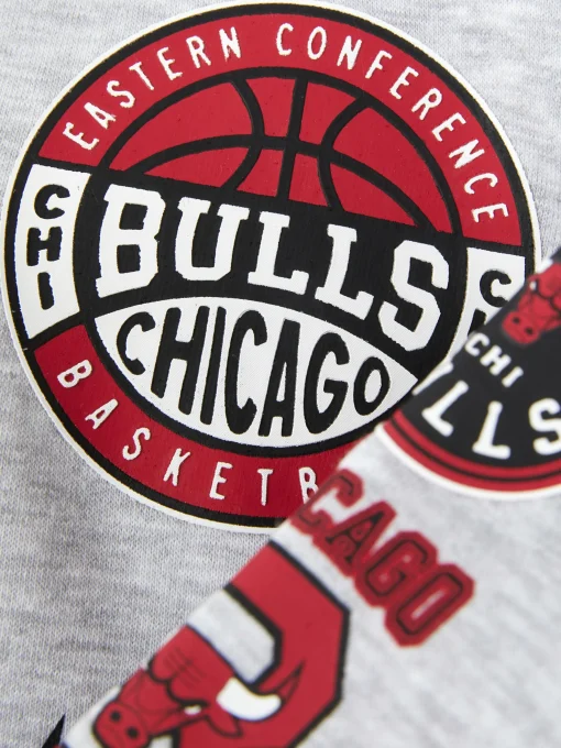 NBA Chicago Bulls Graphic Hoodie