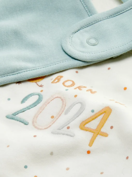 2-Pack 2024 Fabric Bibs