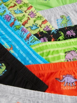 10-Pack Dinosaur Days Of The Week Briefs
