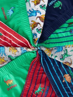 10-Pack Dinosaur Graphic Briefs