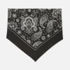 Paisley Print Scarf