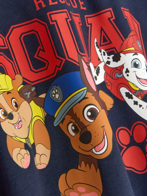 PAW Patrol Graphic Hoodie