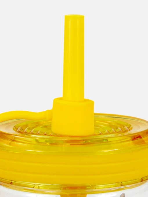 Pokémon Eeveelutions Cup