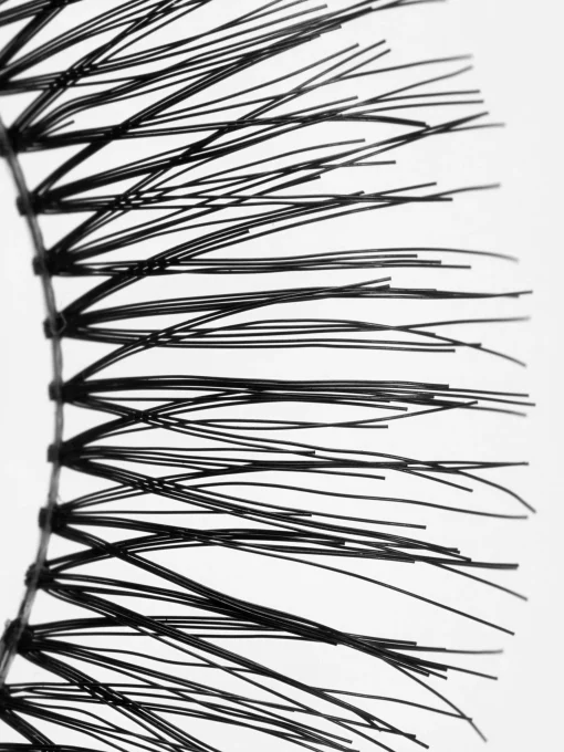 PS Faux Lashes