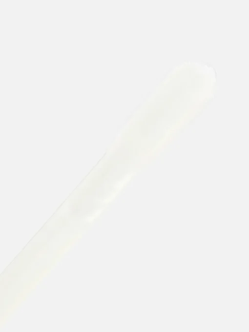 PS High Shine Lip Gloss