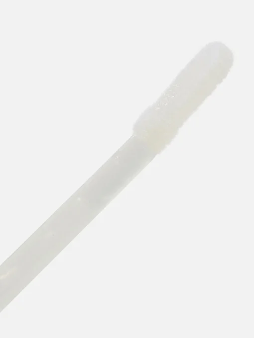 PS High Shine Lip Gloss