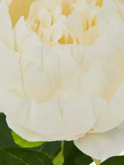 Single Stem Faux Peony