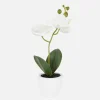 Small Potted Faux Orchid
