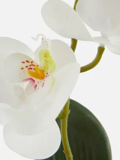 Small Potted Faux Orchid