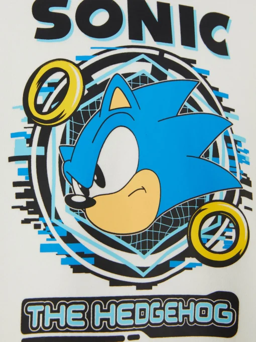 Sonic The Hedgehog Graphic Hoodie