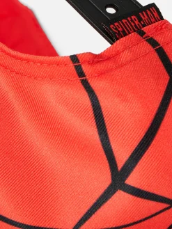 Spider-Man Flat Cap